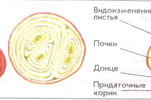 Кракен сайт как выглядит