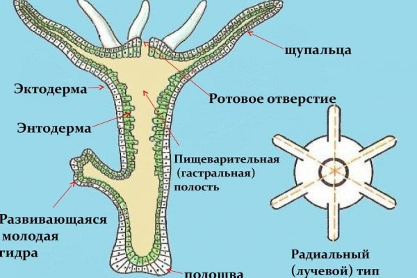Как пополнять кракен тор