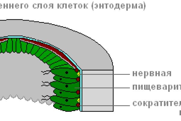 Прямая ссылка на кракен