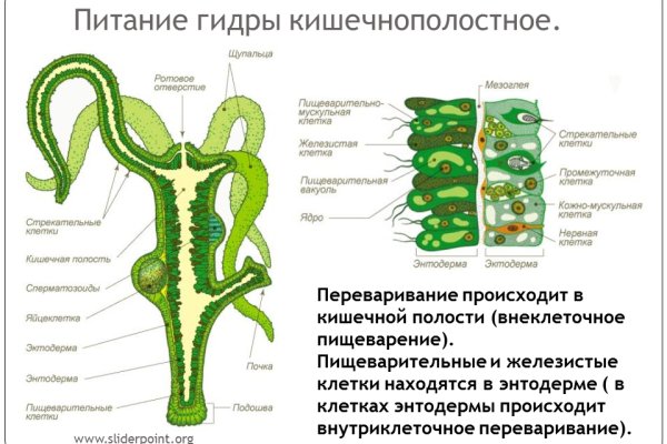 Кракен сайт закладок