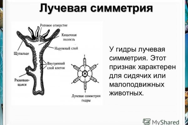 Кракен маркет только через тор скачать