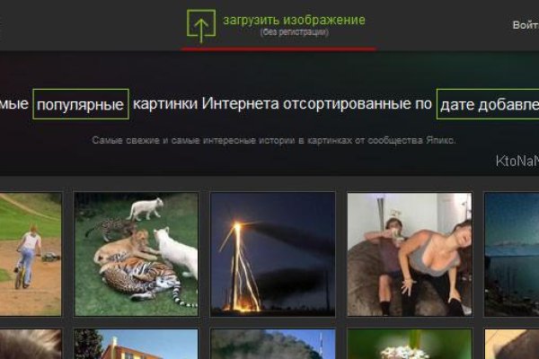 Блэкспрут зеркало кракен