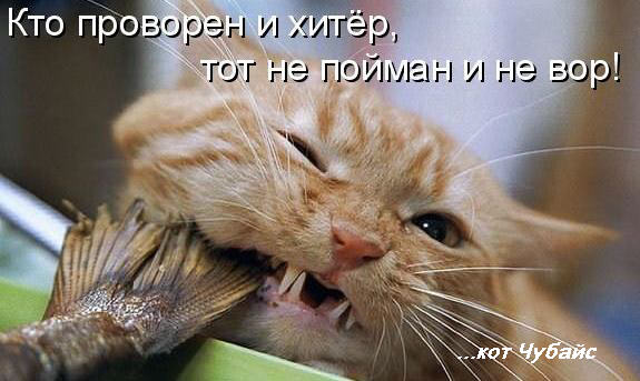 Как зайти на кракен без тора