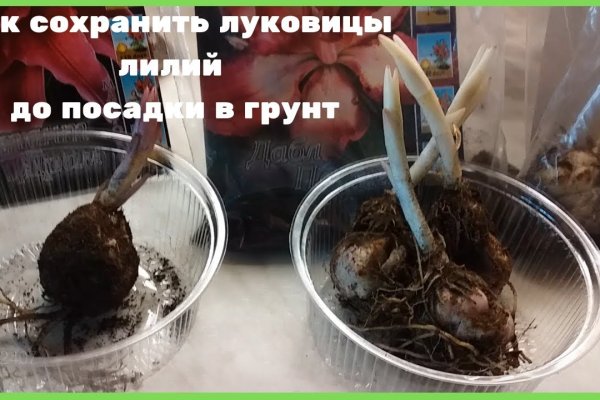 Кракен даркен